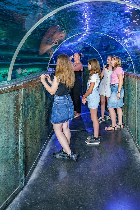 famille-tunnel-aux-requins.jpg