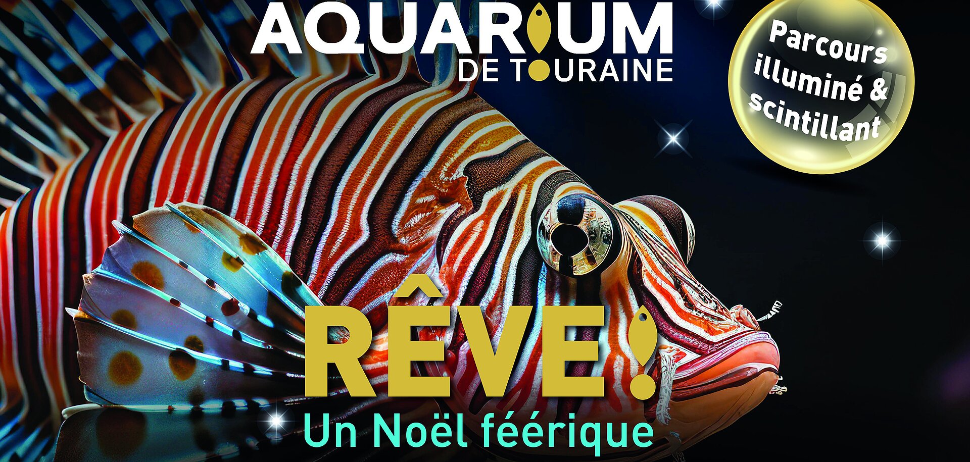 Visuel noel aquarium