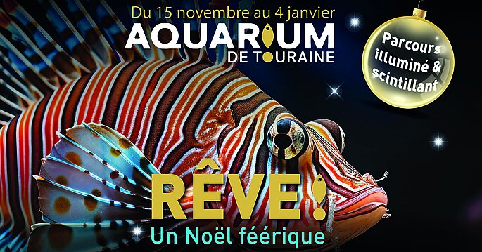 Visuel Noel Aquarium