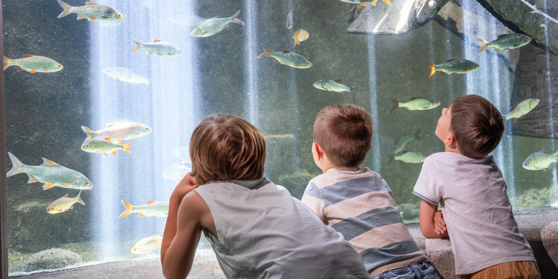 Visuel aquarium enfants 