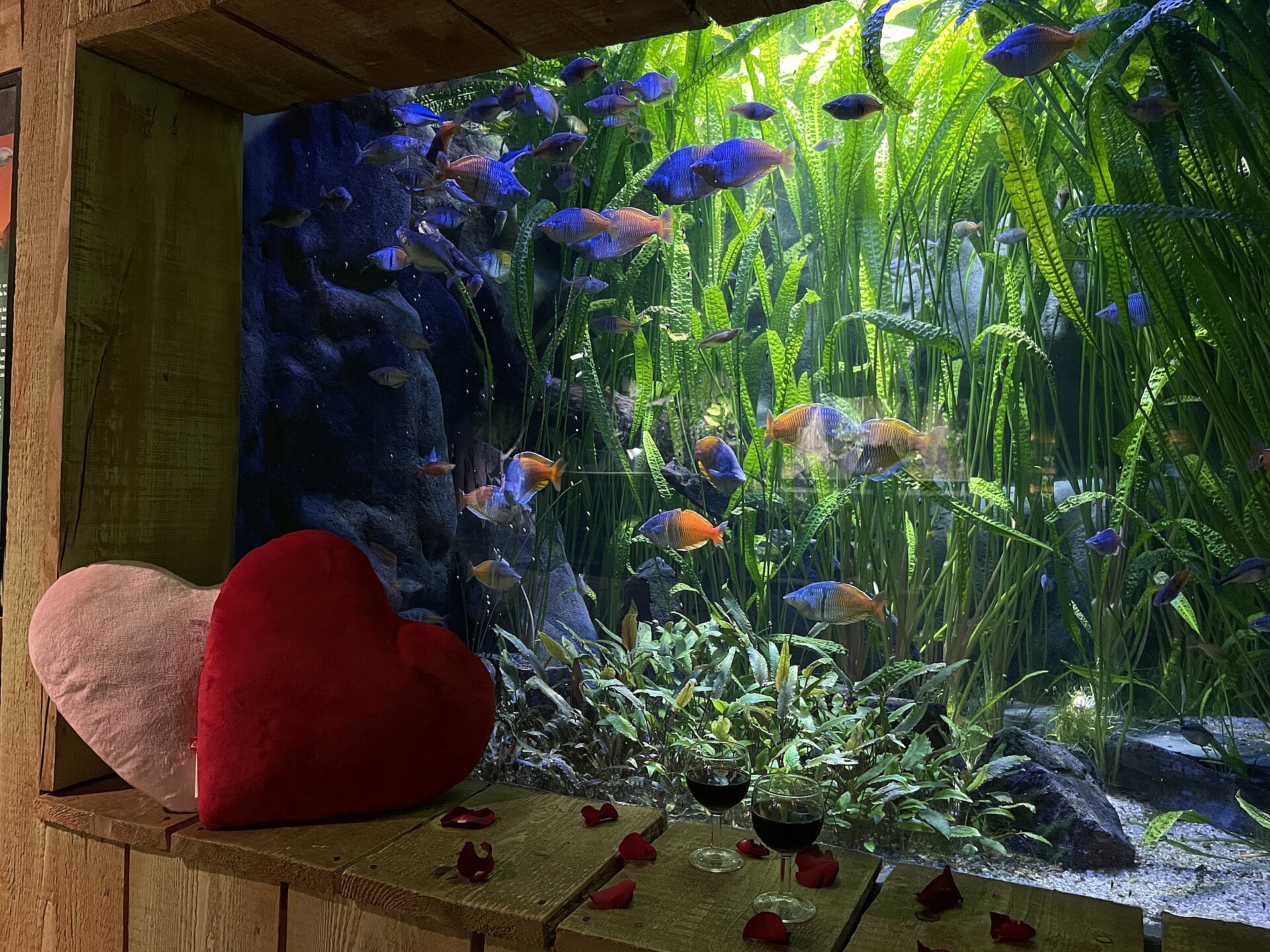 Visuel Saint Valentin