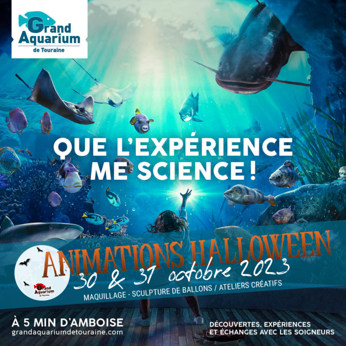 Aquarium de Touraine Aquarium de Touraine Aquarium entre Tours et