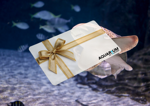 Visuel carte cadeau aquarium