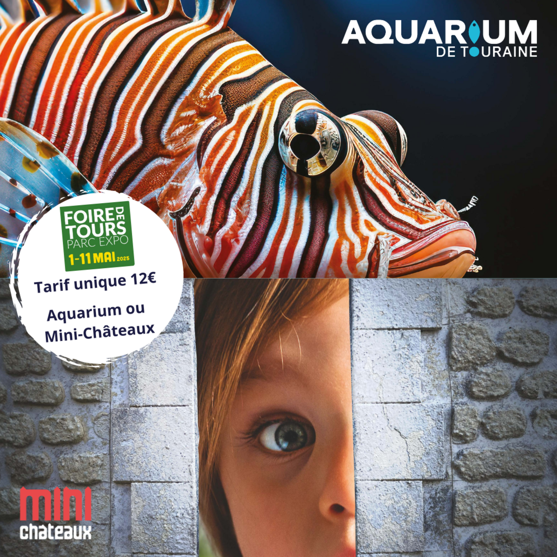 Visuel foire aquarium