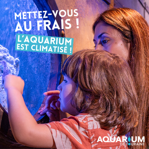 L'aquarium est climatisé !