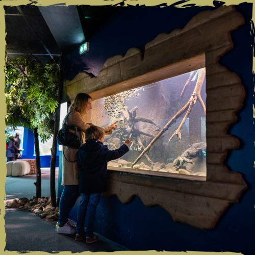 Aquarium de Touraine Aquarium de Touraine Aquarium entre Tours et