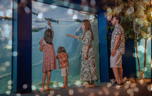 Famille devant un aquarium 