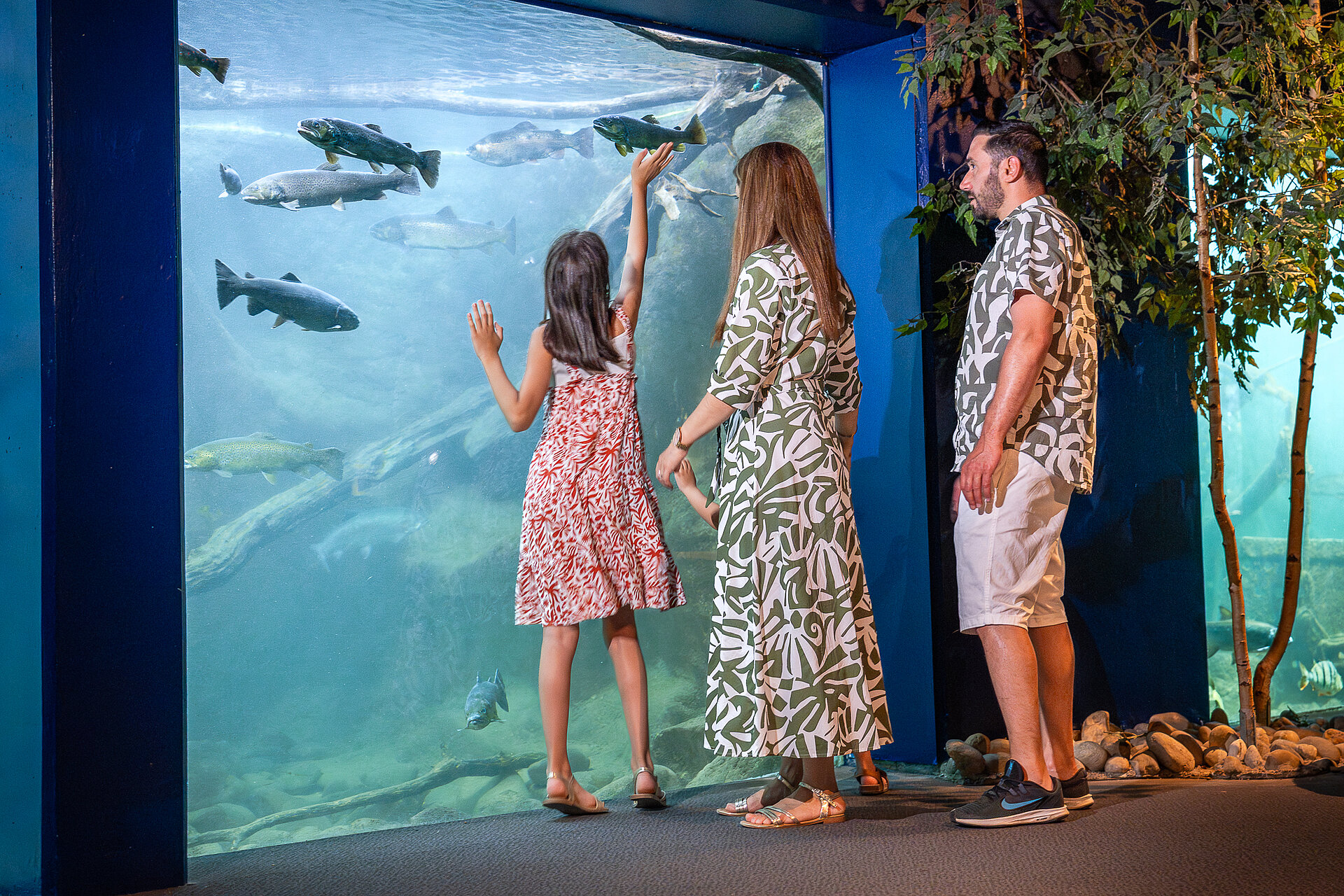 En couple / Entre amis 