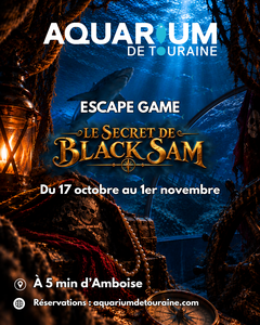 Escape Game Le Secret de Black Sam 