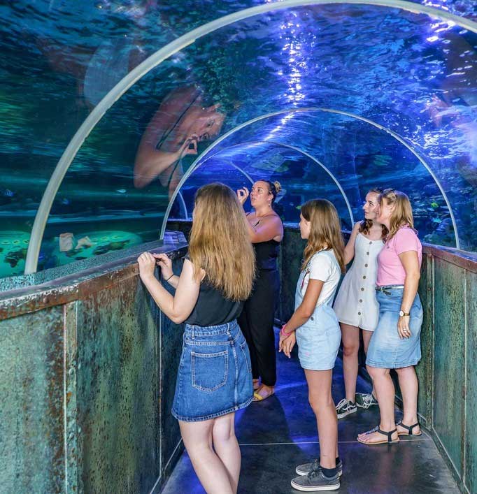 famille tunnel aux requins