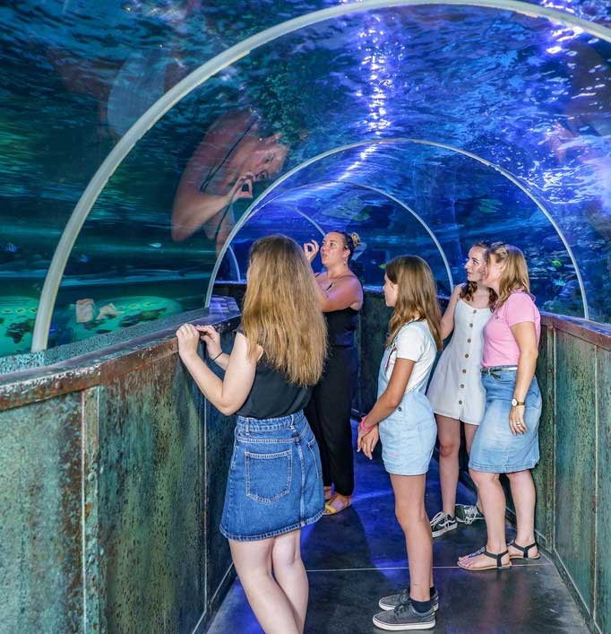 famille-tunne-aux-requins.jpg famille tunnel aux requins