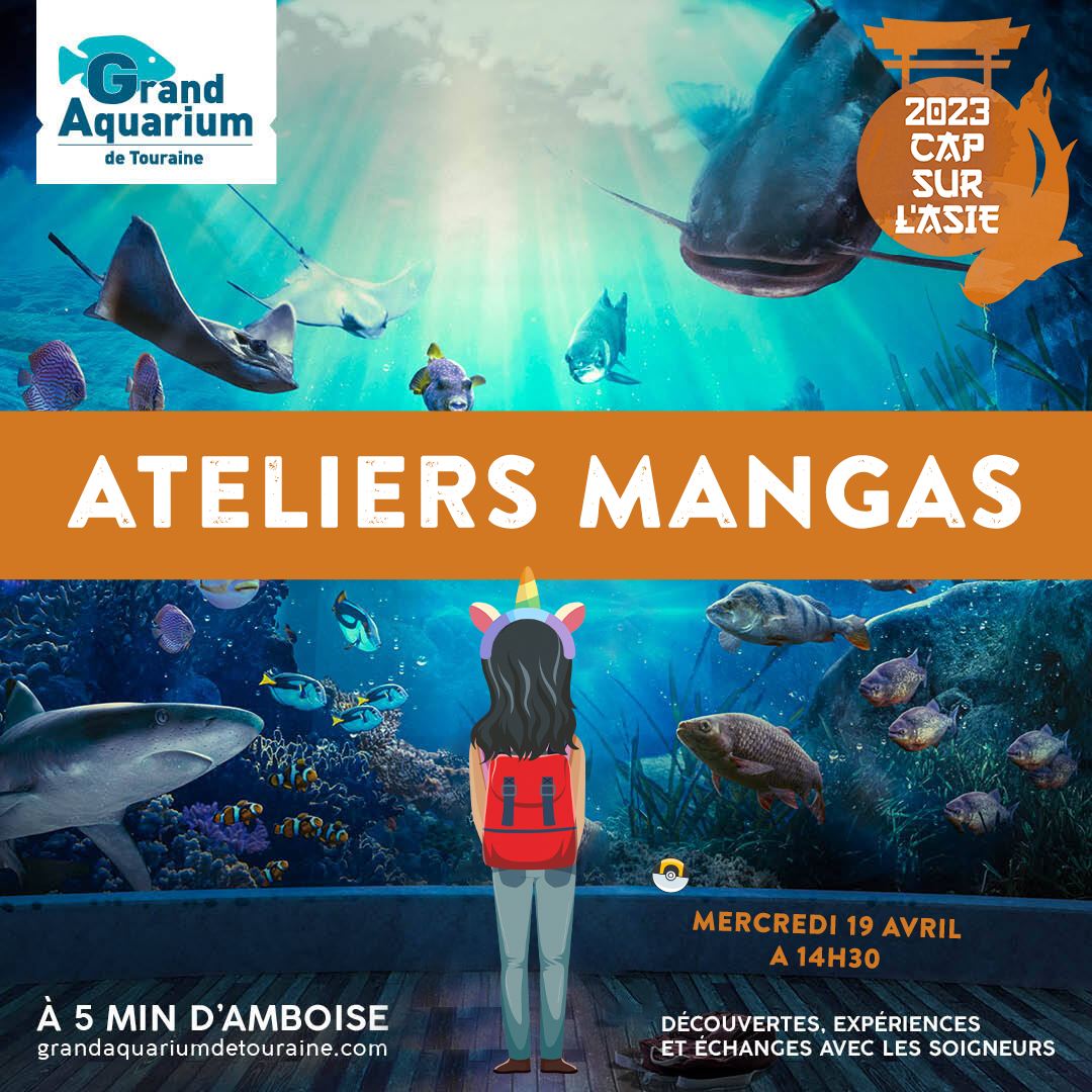 Visuel mangas aquarium